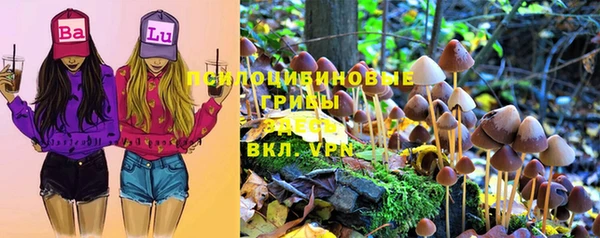 винт Белокуриха